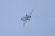 image0784