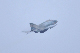 image0799