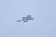 image0803