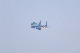 image0809