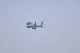 image0817