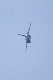image0181