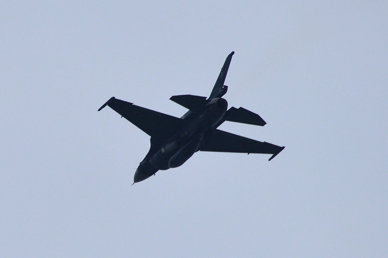 image0659