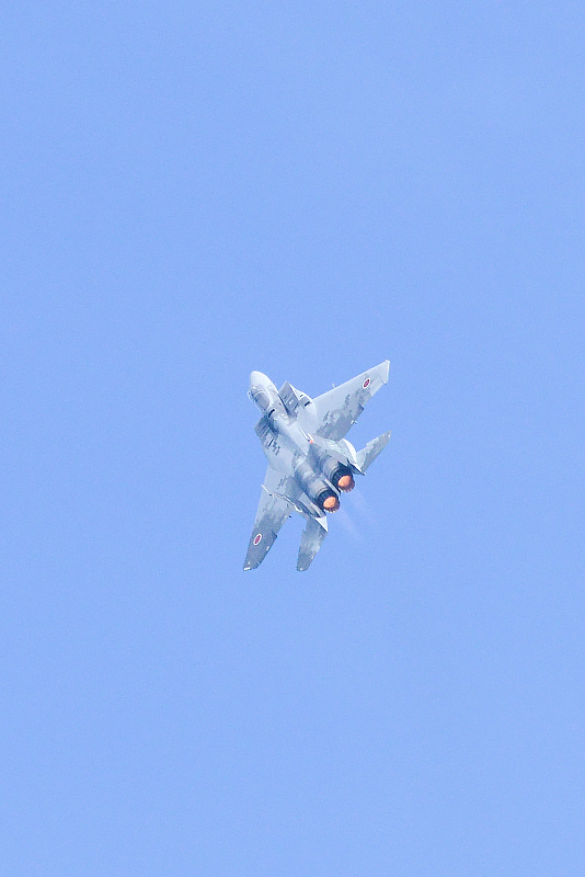 image0493