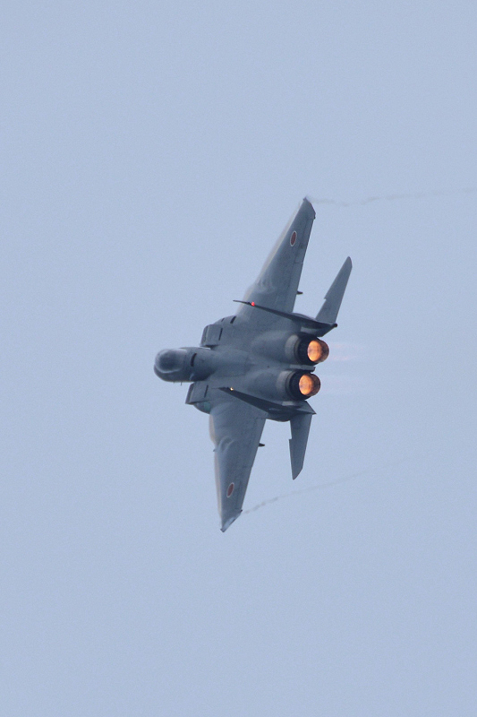 image0223