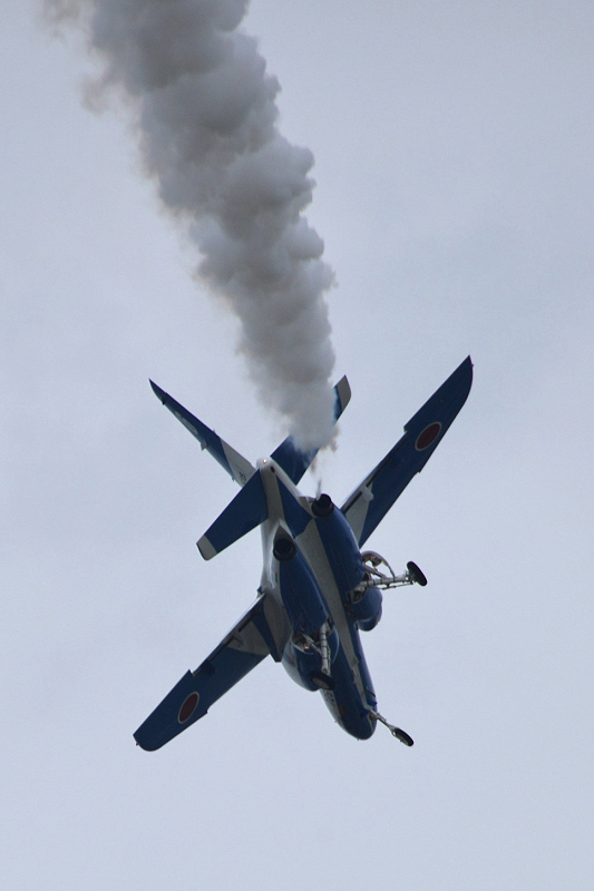 image0739