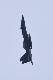 image0250