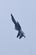 image0255