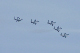 image0524