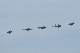 image0579