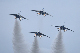 image0696