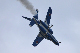image0736