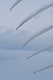 image0830