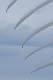 image0831
