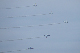 image0840