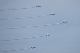 image0841
