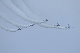 image0964