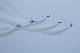 image0966