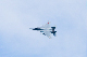 image0612