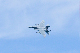 image0614
