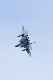 image0635