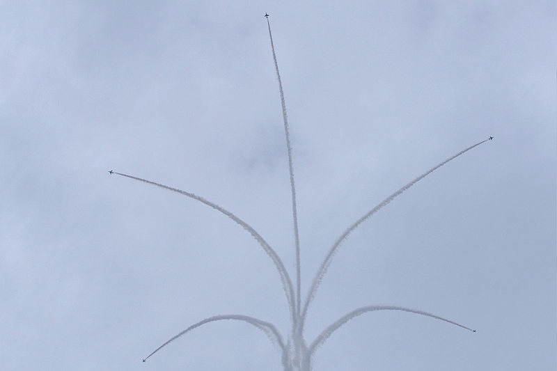 image0769