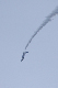 image0683