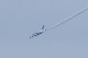image0716