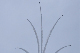 image0761