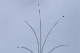 image0763