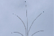 image0764