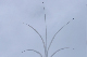 image0765