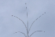 image0766