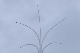 image0767