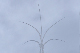 image0768