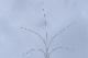 image0769