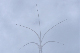 image0770