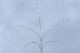 image0771