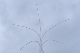 image0772