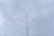 image0773
