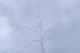 image0774