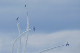 image0786
