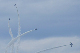 image0787