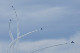 image0788