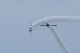 image0813