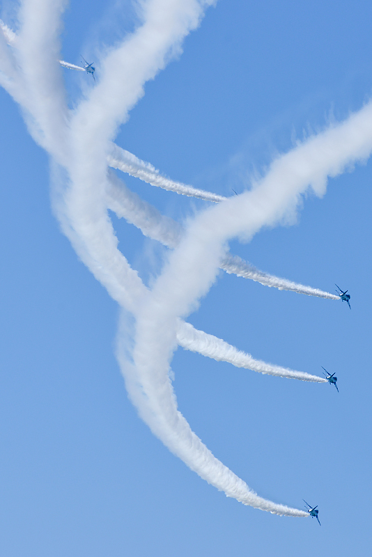 image0295