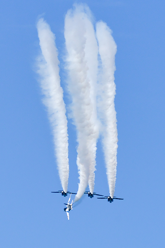 image0637