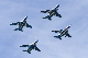 image0100