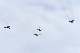 image0109