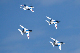 image0220